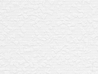 Интро Белый 0225